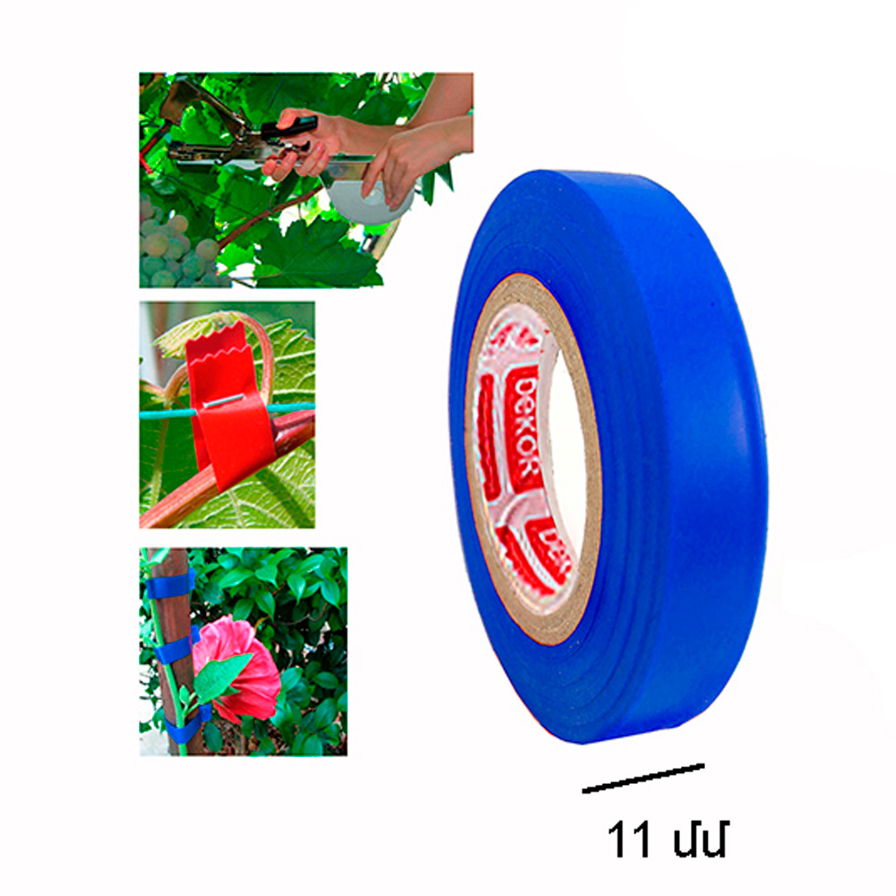 10061