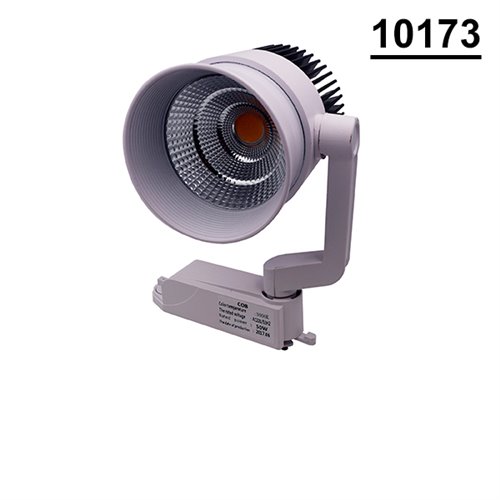 10173