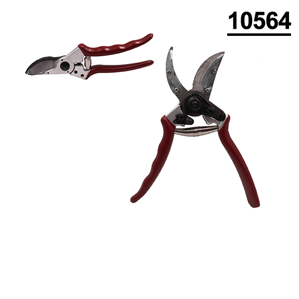 10564