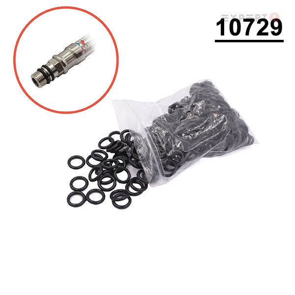 10729