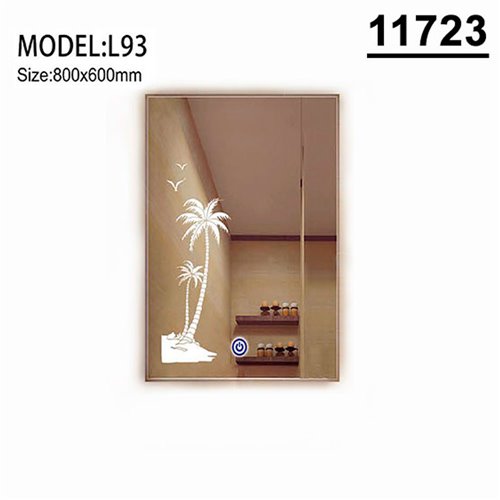 11723