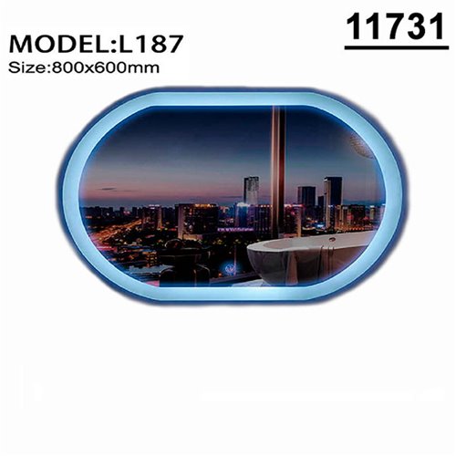 11731