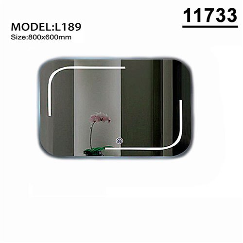 11733