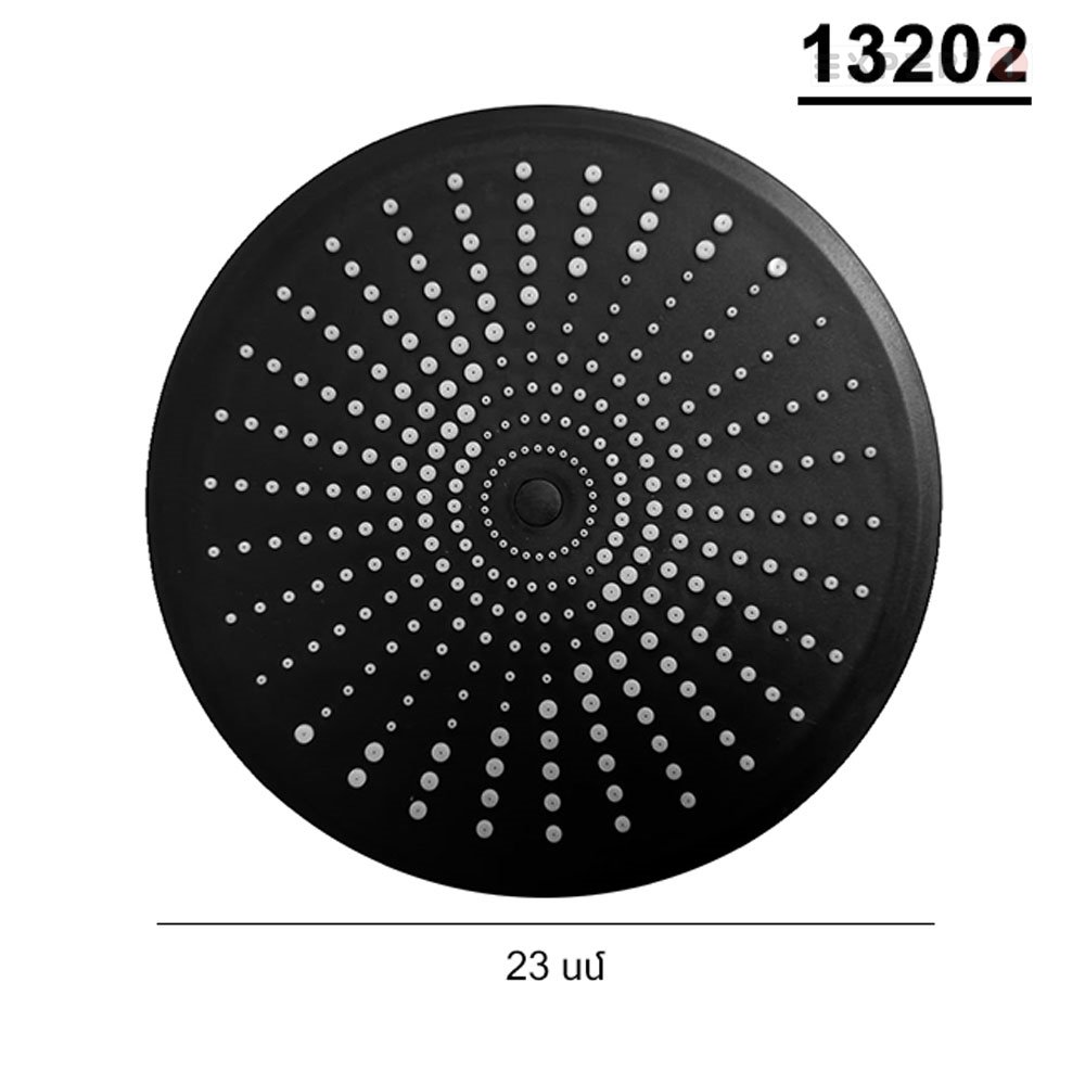 13202