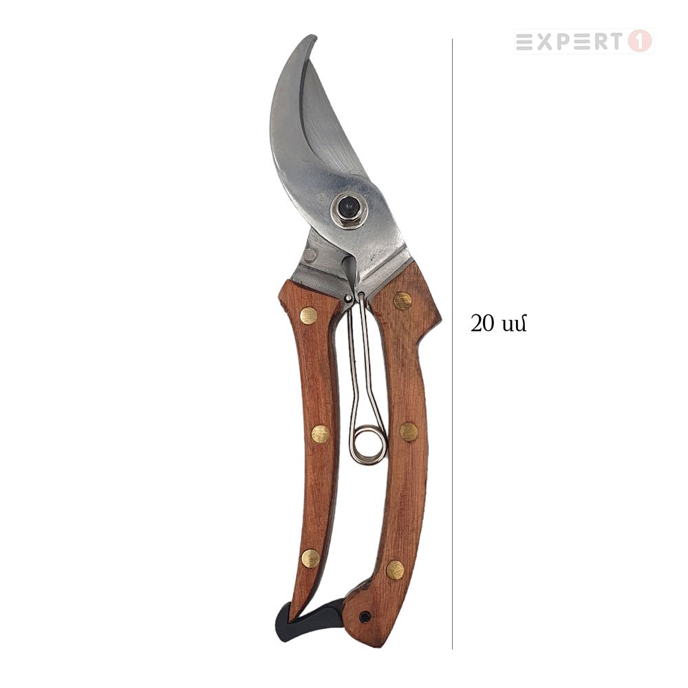 13281