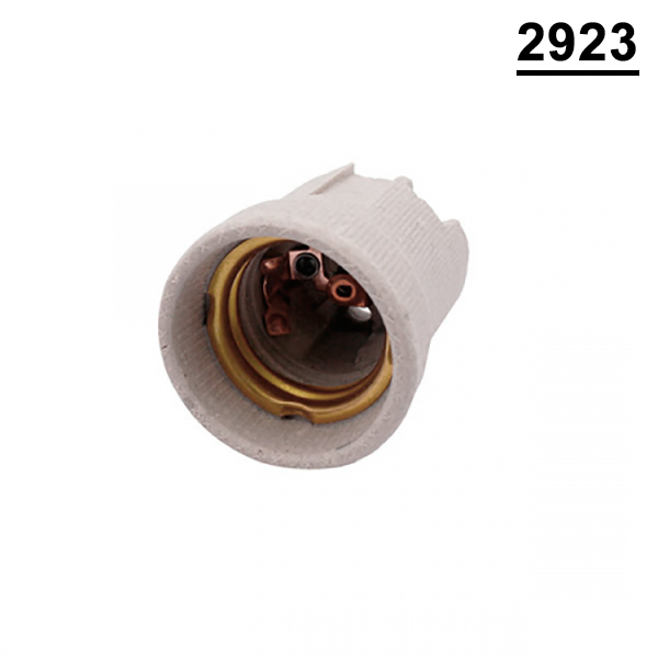 29235