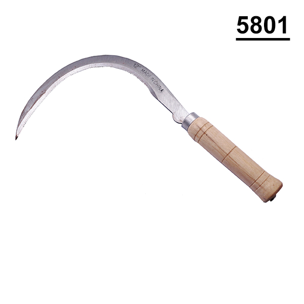 58018