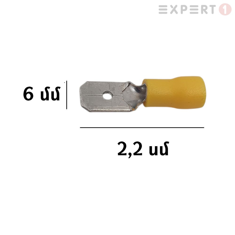5802204_1