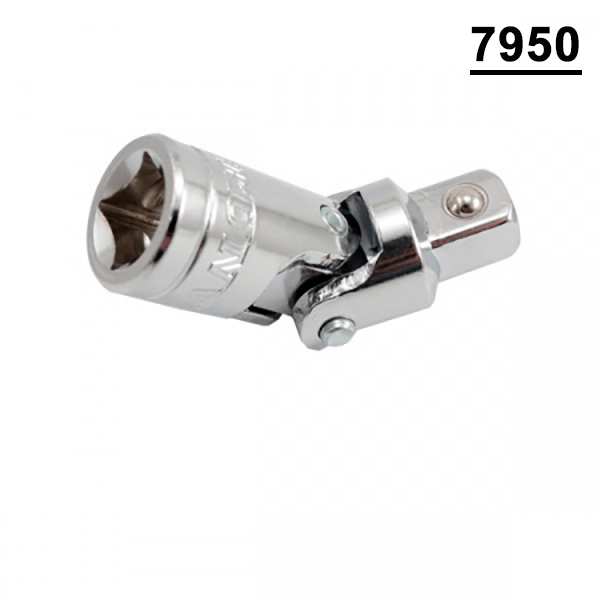 79504
