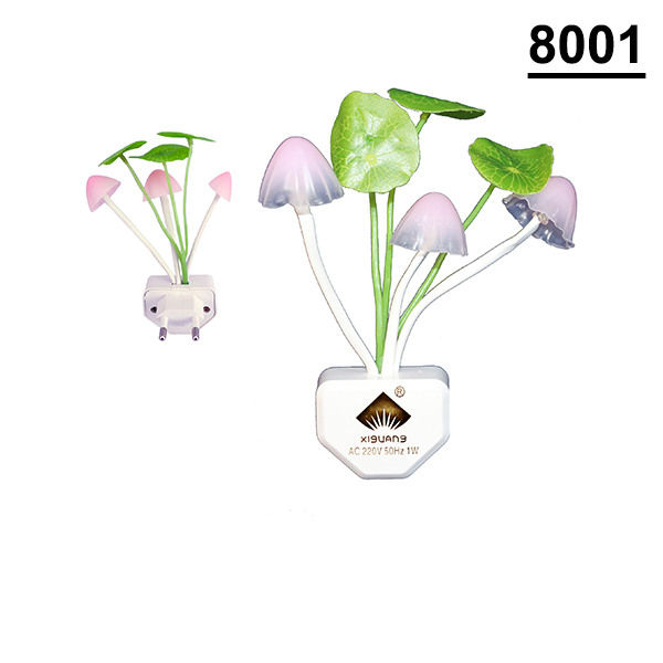 80019