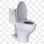 Զուգարանակոնքեր